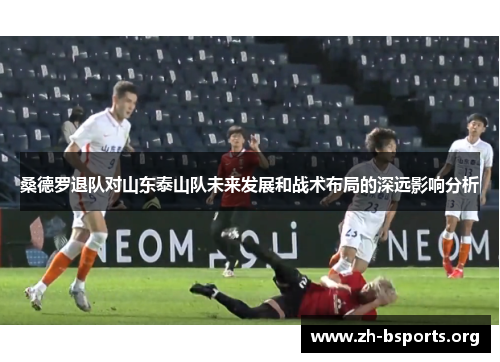 桑德罗退队对山东泰山队未来发展和战术布局的深远影响分析 桑德罗退队对山东泰山队未来发展和战术布局的深远影响分析